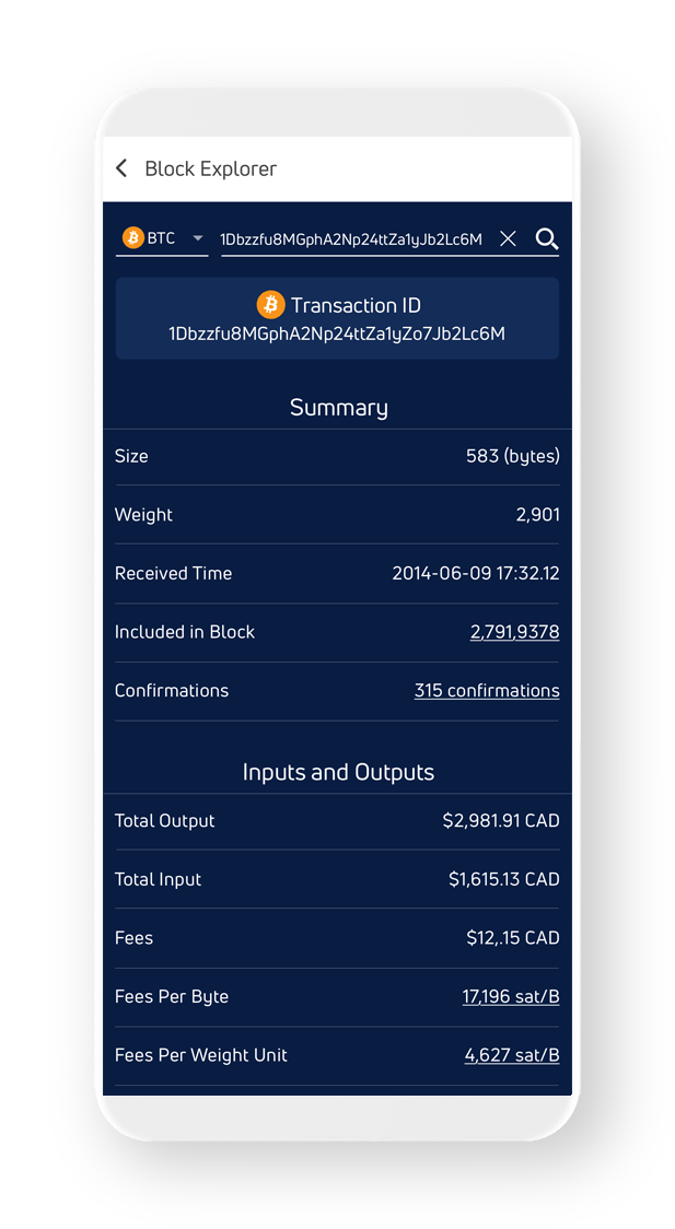 A phone showing how you can search balances and transaction data in Jaxx Liberty's block explorer.